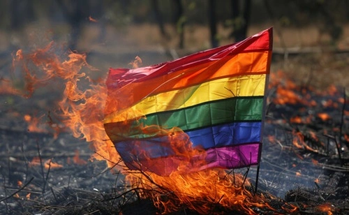 Burn A Pride Flag