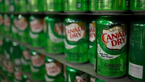 Ginger Ale Class Action Lawsuit