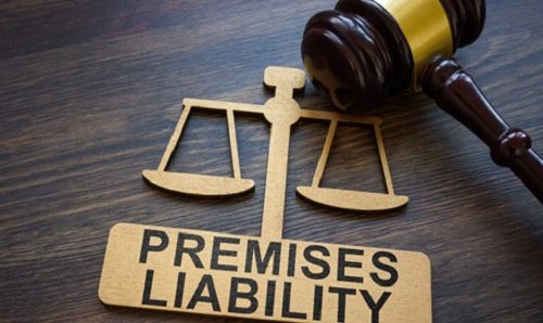 Liability Case